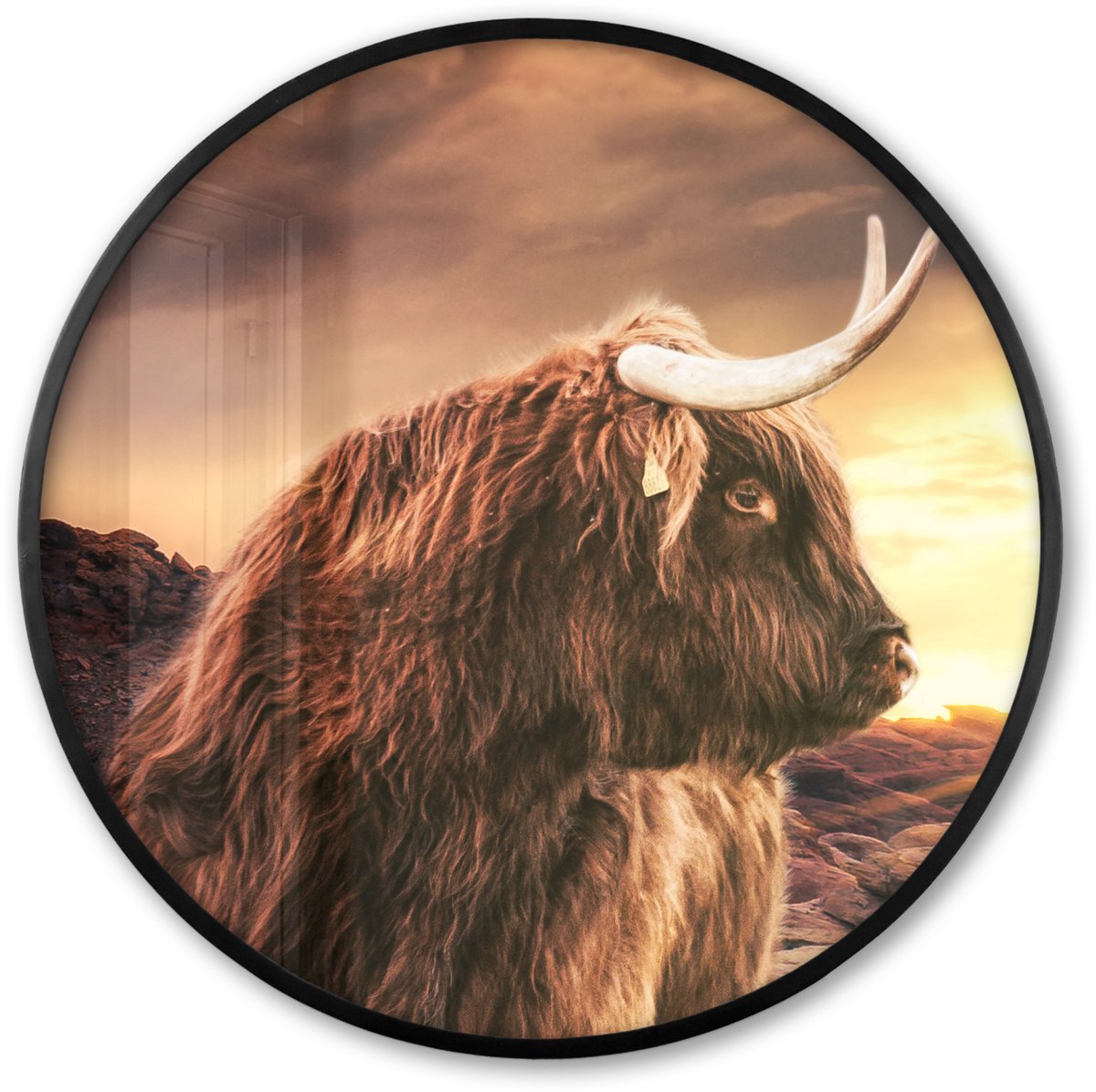 FrameYourWall Poster in lijst Rond - Fotolijst 80x80 cm - Posters - Schotse hooglander - Zon - Horizon - Koe - Dieren - Ronde posterlijst zwart - Decoratie - Wanddecoratie woonkamer - Muurdecoratie slaapkamer Schotse Hooglander - Zonsopkomst