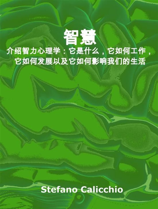 智慧 - cover