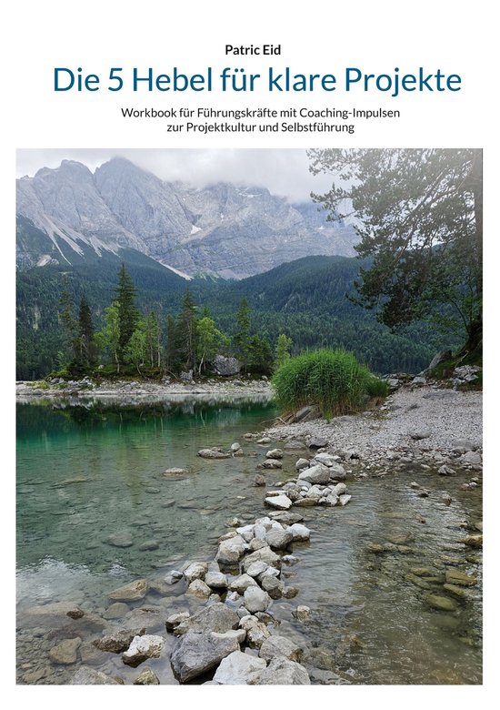 Die 5 Hebel für klare Projekte - cover