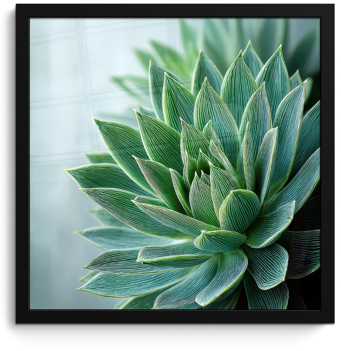 FrameYourWall Poster in lijst - Fotolijst 40x40 cm - Posters - Vetplant - Bladeren - Groen - Wazig - Posterlijst zwart - Decoratie - Wanddecoratie woonkamer - Muurdecoratie slaapkamer