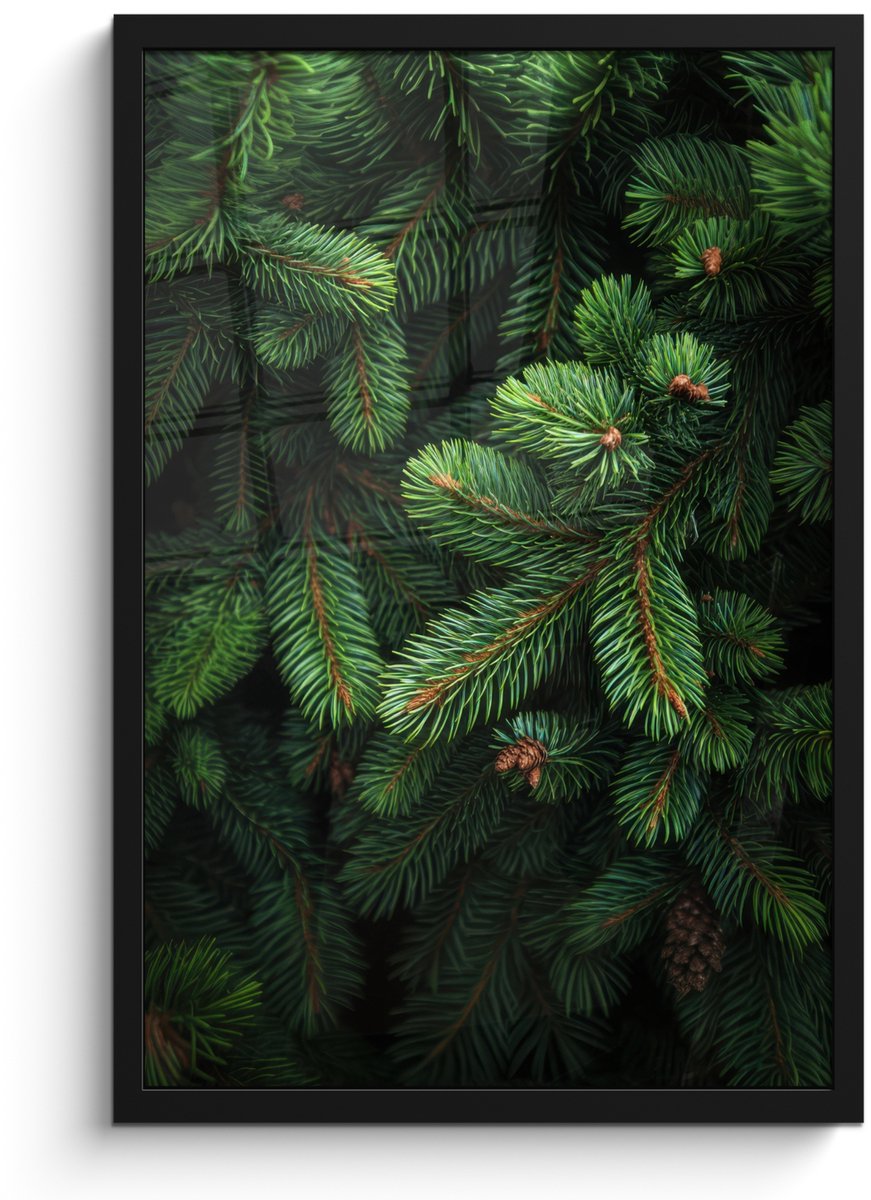 FrameYourWall Poster in lijst - Fotolijst 40x60 cm - Posters - Sparrentakken - Knoppen - Naalden - Groen - Posterlijst zwart - Decoratie - Wanddecoratie woonkamer - Muurdecoratie slaapkamer