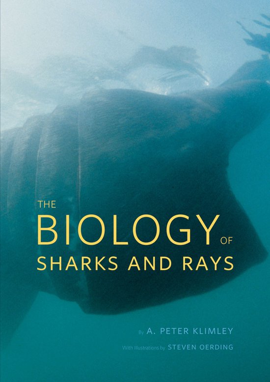 Biology Of Sharks & Rays