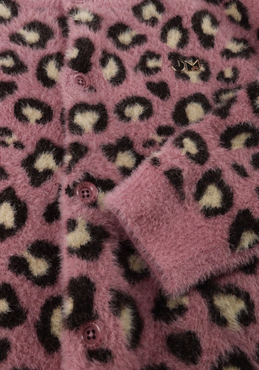 Jelly Mallow Cozy Leopard Cardigan Truien & Vesten Meisjes - Sweater - Hoodie - Vest- Roze - Maat 104/110