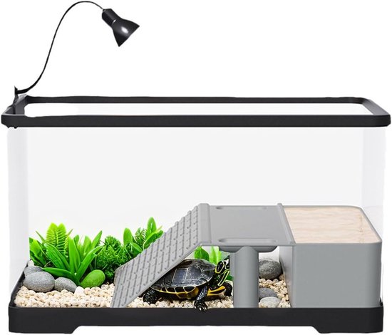 De tips voor het fotograferen van schildpadden in het wild De tips voor het fotograferen van schildpadden in het wild