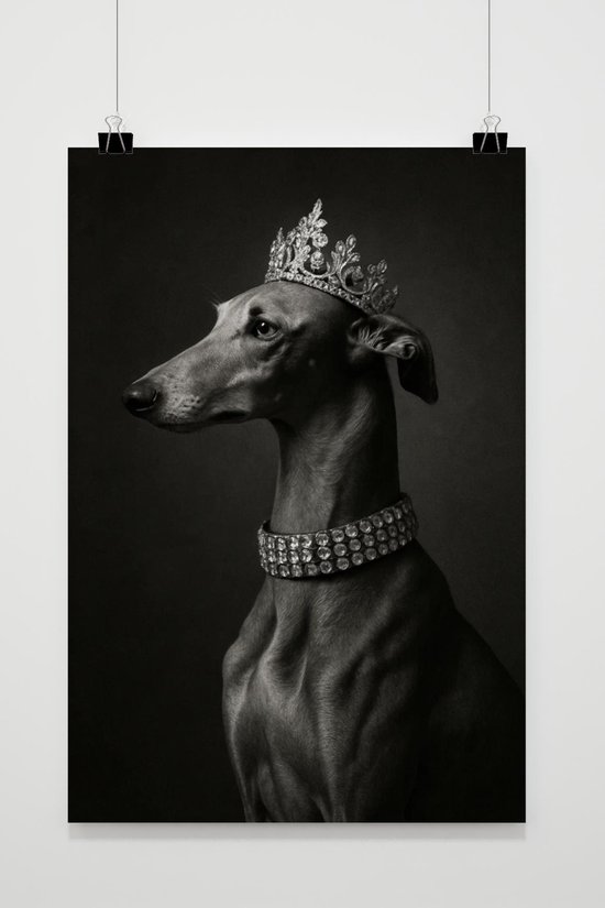 Greyhound Poster - Hond Posters - Windhond - Dieren - Kroon - Sieraden - Wanddecoratie Woonkamer - 180 gram papier - XS6907WV - Formaat 30 x 40cm