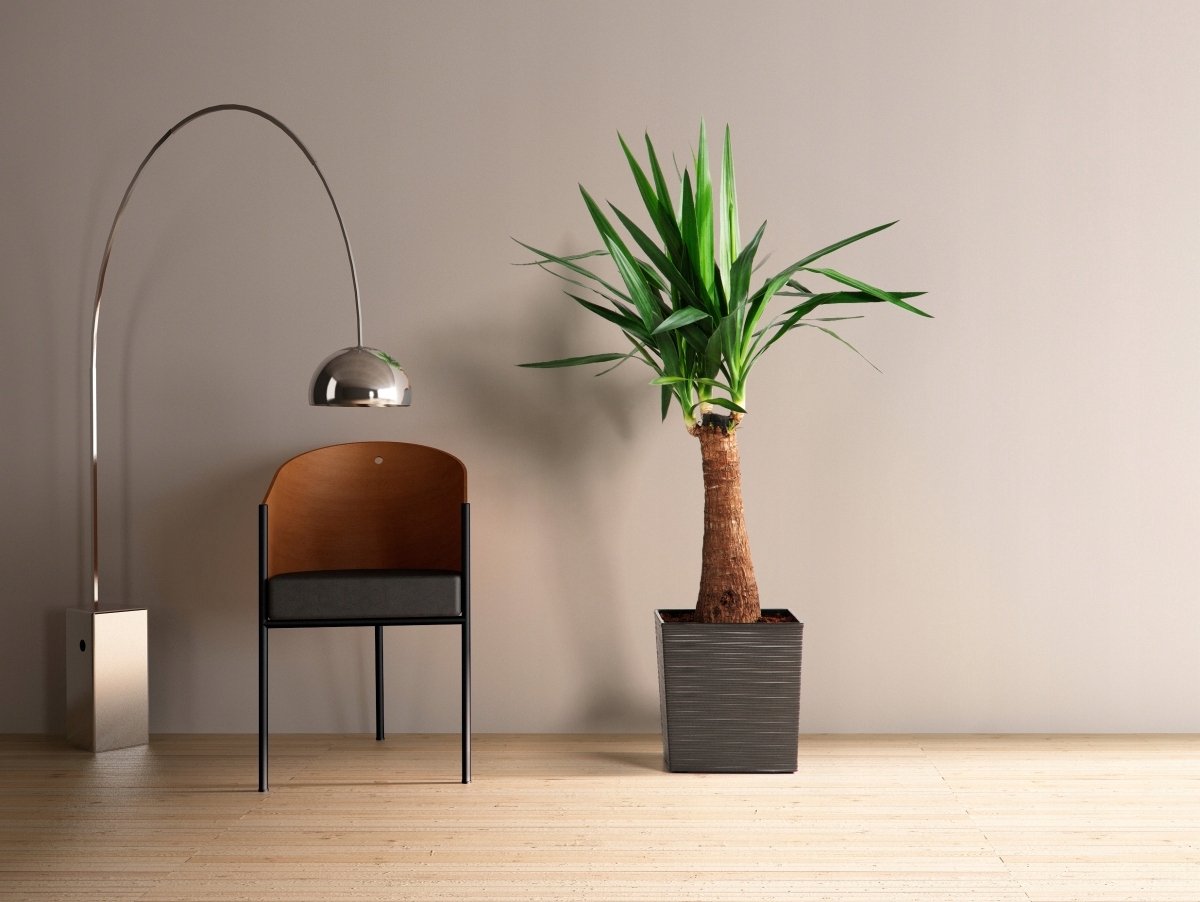 Lamela Juka Beitel 300 Pot Crème met Inzet - 30,5 cm
