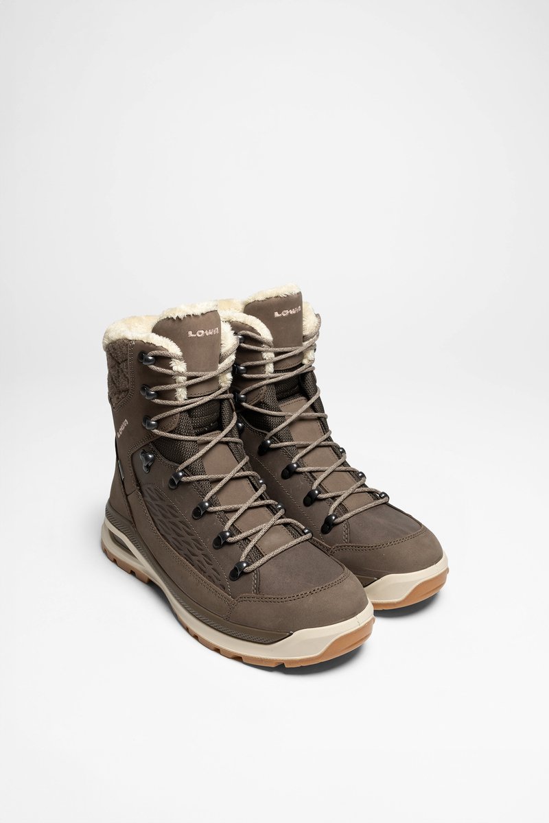 Renegade EVO ICE GTX Ws Dames Grijs