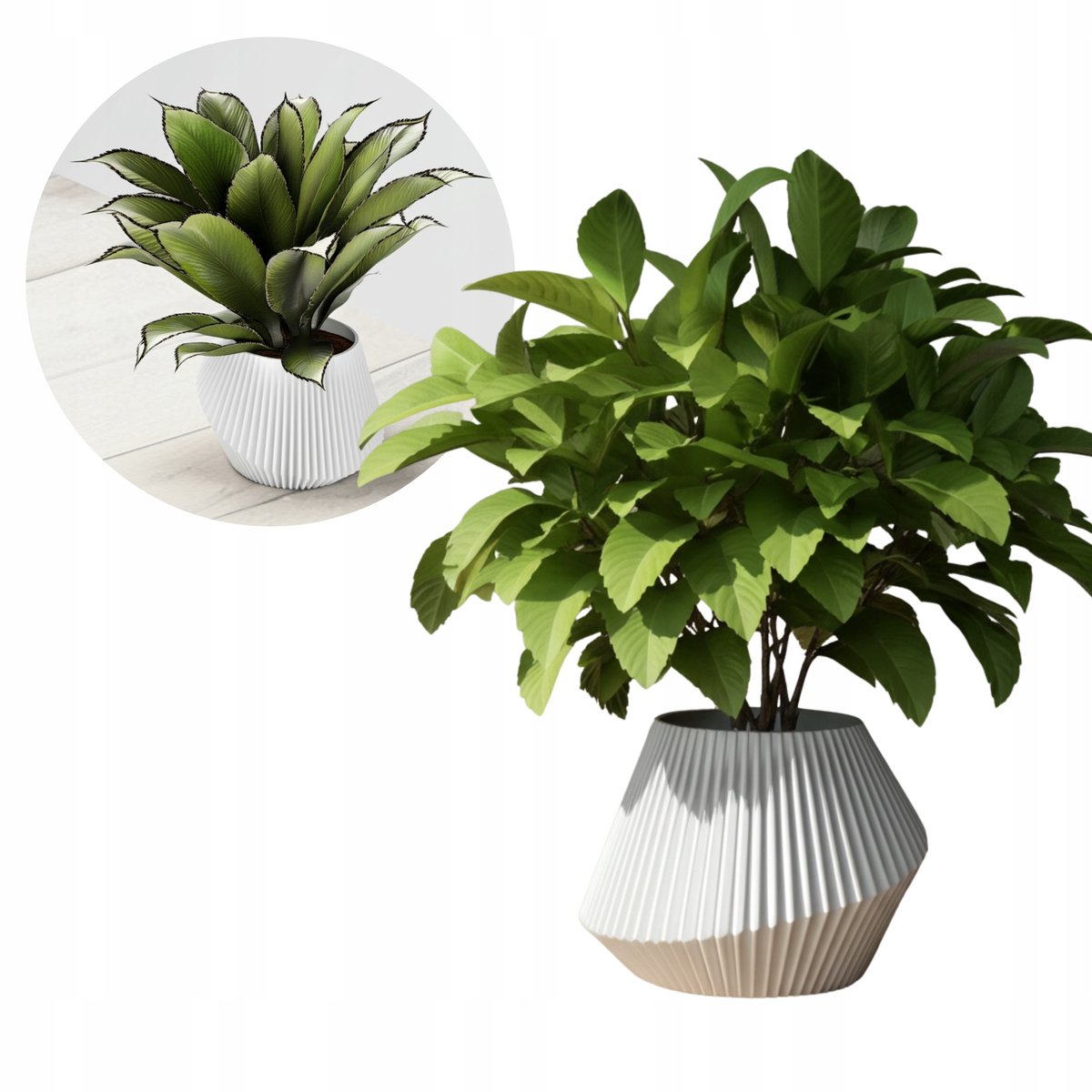 Moderne Witte Decoratieve Pot voor Bloemen en Succulenten