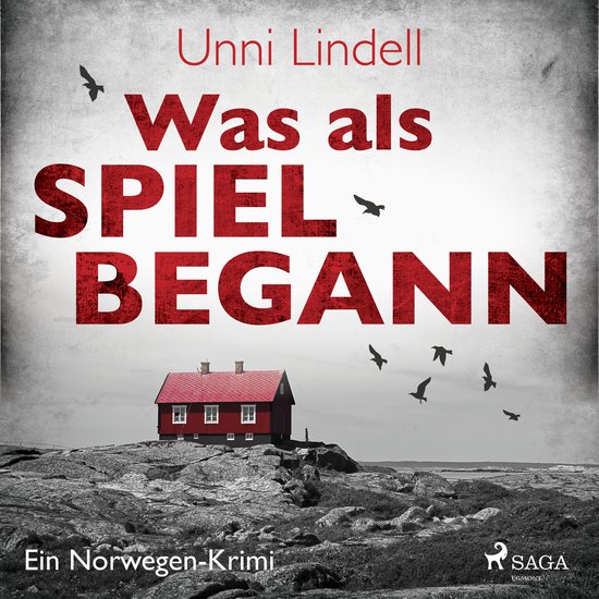 Was als Spiel begann - Ein Norwegen-Krimi - cover