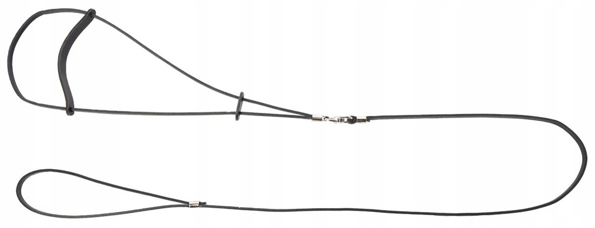 Dingo Leren Ringlijn 0,6x150cm Zwart - Elegante Hondensnaar