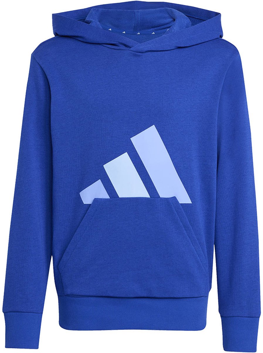 Adidas Essentials Hoodie 11-12 Years Kinderen Blauw