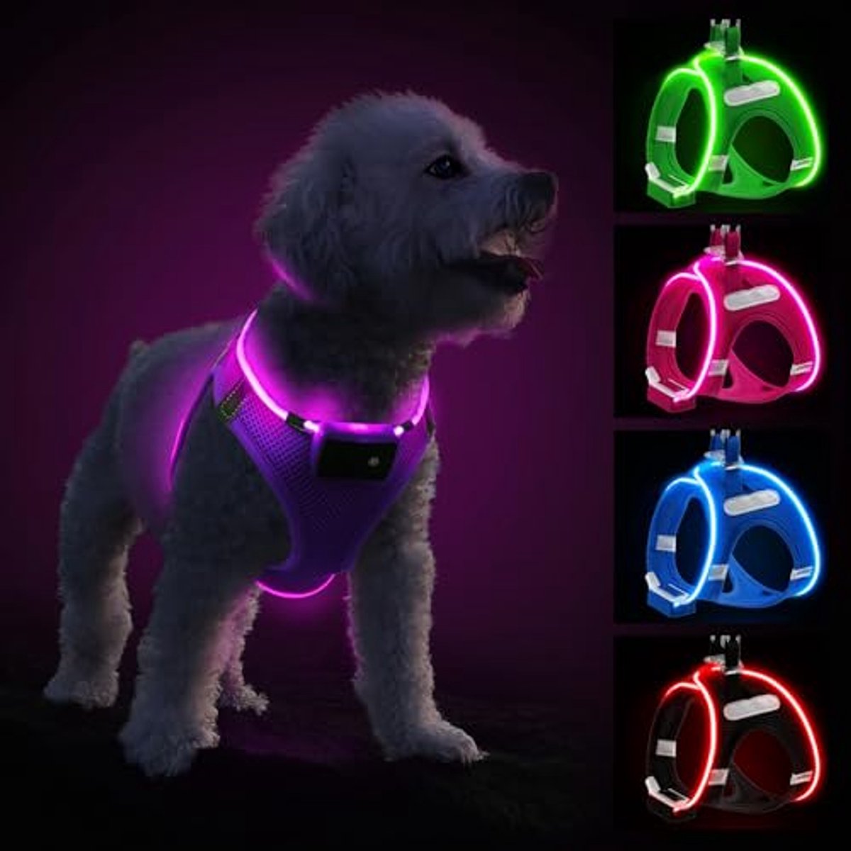 Oplaadbaar Lichtgevend Hondenharnas voor Puppy’s en Kleine tot Middelgrote Honden - Waterdicht en Reflecterend voor Nachtwandelen