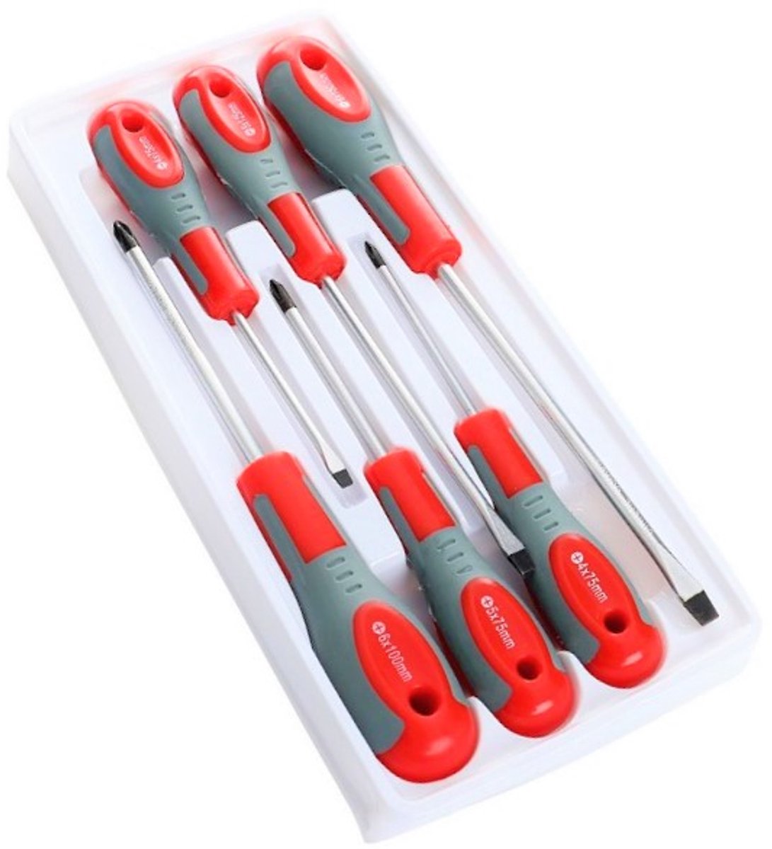 6-delige schroevendraaierset met magnetische punten
