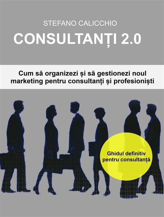 Consultanți 2.0 - cover