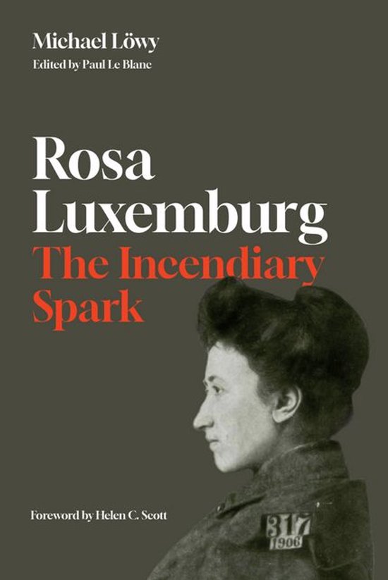 Rosa Luxemburg: The Incendiary Spark - cover