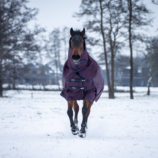 Horsegear Deken Horsegear Hgextreme 200gr Paars-blauw - 130/175