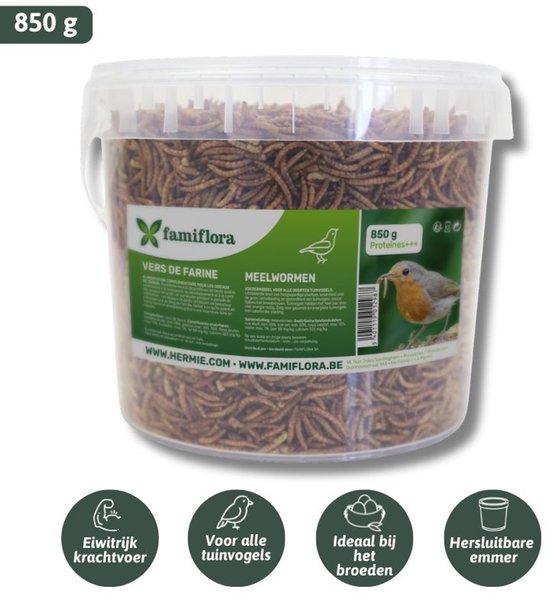 Een emmer van 850g met gedroogde meelwormen voor tuinvogels. Rijk aan eiwitten, ideaal bij het broeden.