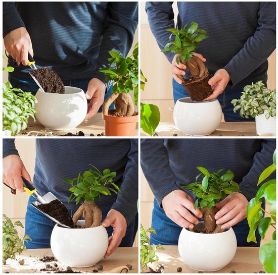 Tuinschep, troffel, plantentroffel, roestvrijstalen schep, tuinschep, tuinschep, plantentroffel voor verplanten, wieden, verticuteren van GARDENA — afbeelding 2