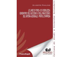 Le linee di forza (o di debolezza) generatrici del successo (o dell'insuccesso) del sistema aziendale: i profili d'impresa