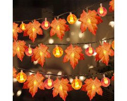 Rosnek Herfstverlichting 6 m - 40 LED Lichtslinger met Pompoenen en Herfstbladeren - Warm Wit - IP44 - Op Batterijen - Halloween Decoratie en Thanksgiving Sfeerverlichting - 1 Stuk