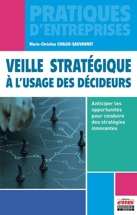 Pratiques d'entreprises - Veille stratégique à l'usage des ... - cover