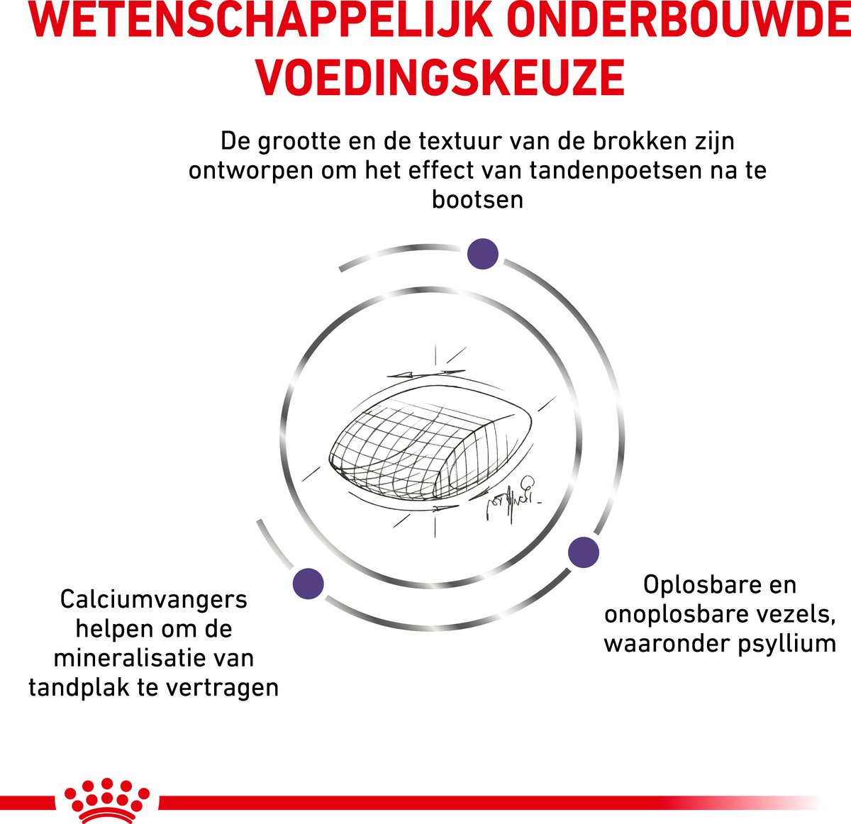 Royal Canin Expert Dental - Kattenvoer - 1.5 kg thumbnail 5