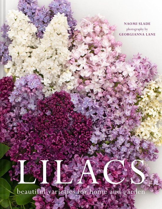 Lilacs - cover