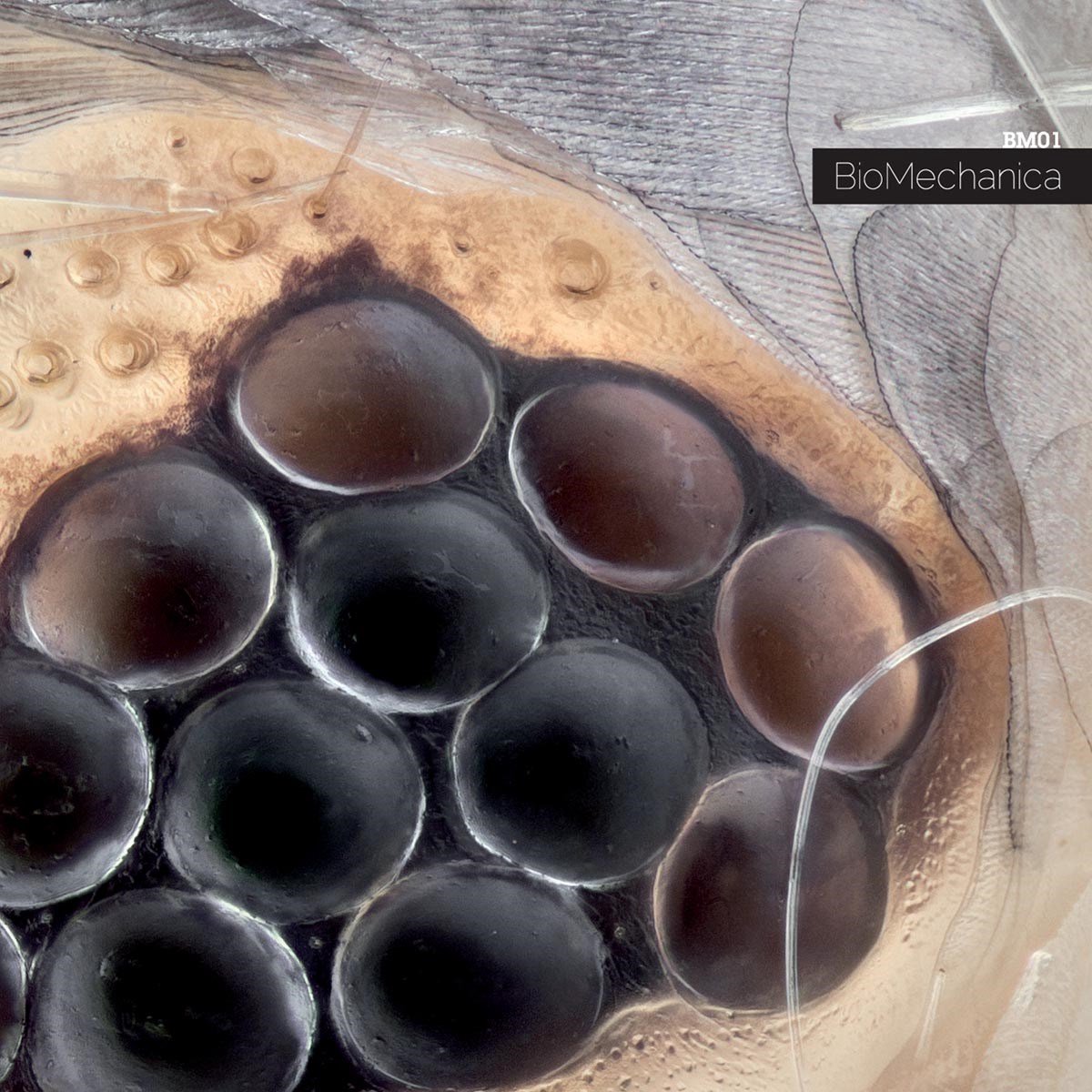 Biomechanica - BM-01 (LP)