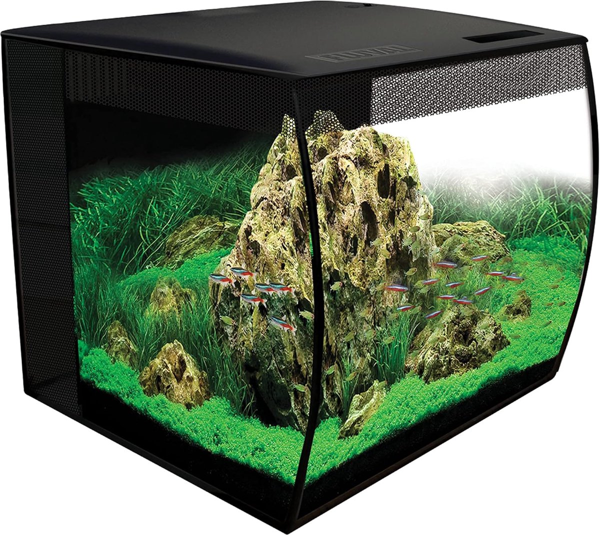 Aquariumset 57 liter met krachtige pomp en optimale verlichting