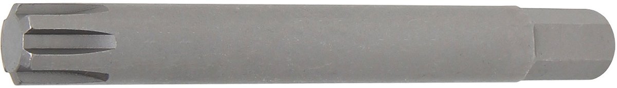 BGS bitlengte 100 mm aandrijving buitenzeskant 10 mm (3/8") ...