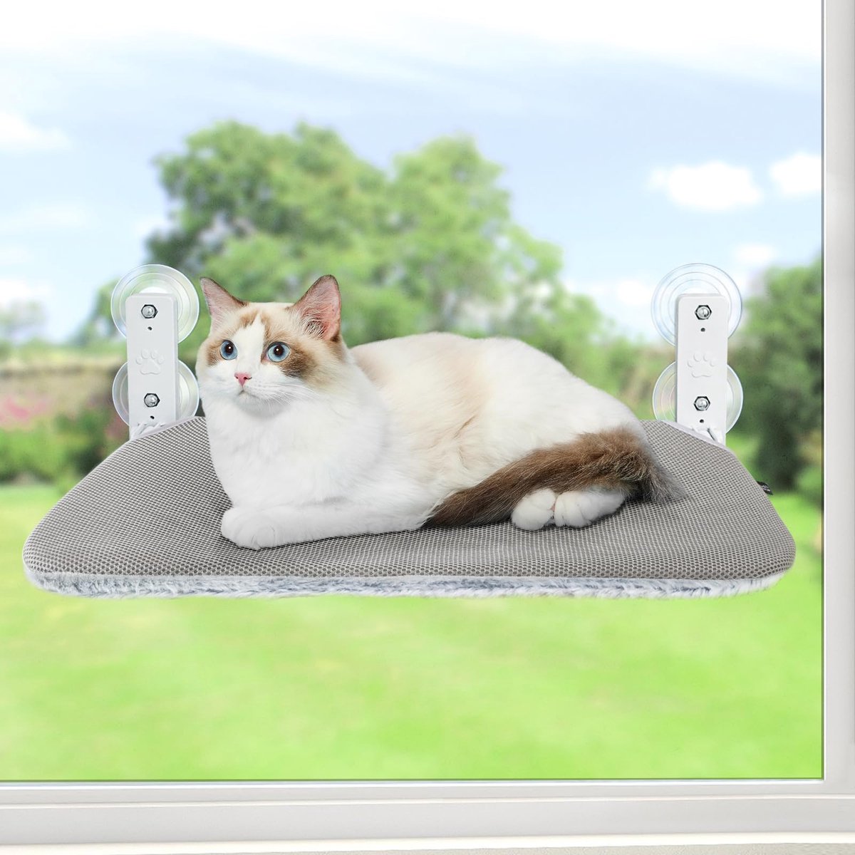 Kattenraam Hangmat 45x30 cm – Opvouwbaar Raamzitje met Sterke Zuignappen en Stalen Frame, Draagbaar tot 25 kg, Omkeerbare Wasbare Hoes, Comfortabel Pluche & Ademend Mesh