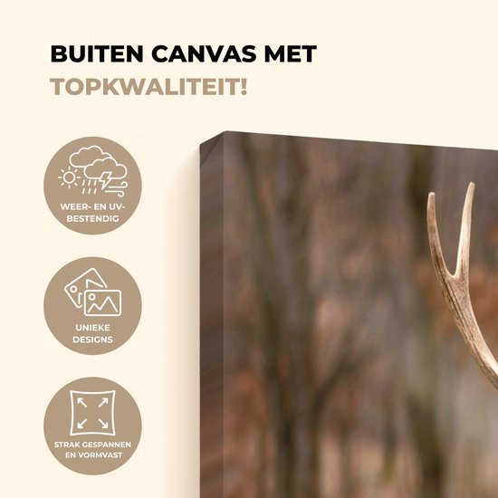 Buitencanvas met weer- en UV-bestendig, unieke designs, strak gespannen en vormvast.