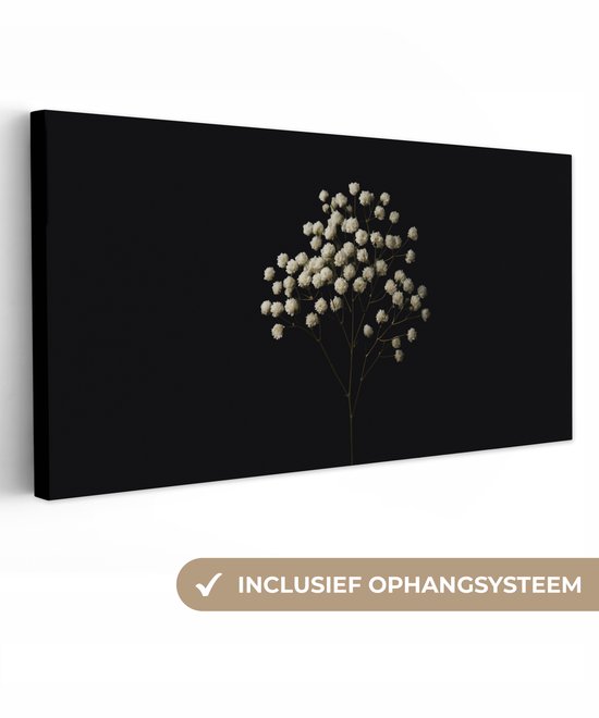 Canvas schilderij 100x50 cm - Wanddecoratie Gipskruid - Bloemetjes - Wit - Minimalistisch - Muurdecoratie woonkamer - Slaapkamer decoratie - Kamer accessoires - Schilderijen op canvas