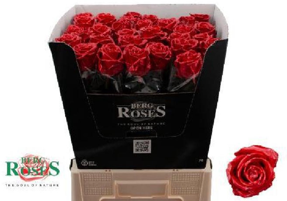 10x Wax roos rood 70cm
