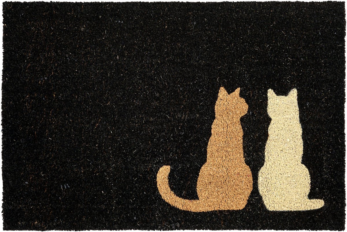 Beliani NAPALIT - Deurmat - Zwart - 60 x 90 cm - Kokos