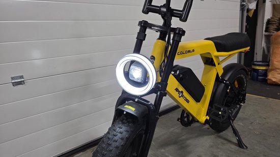 Ape Ryder Colobus Elektrische Fiets E-bike Fatbike Krachtige Motor Lange Accu Comfortabel Zadel Woon-werk Recreatief