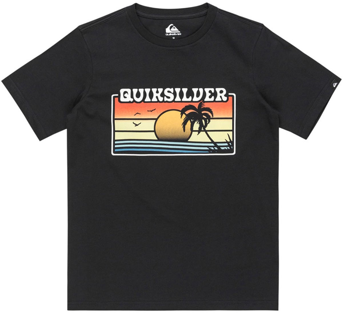 Quiksilver Ev Sun Faded Yth T-shirt Met Korte Mouwen 16 Years Jongen Zwart