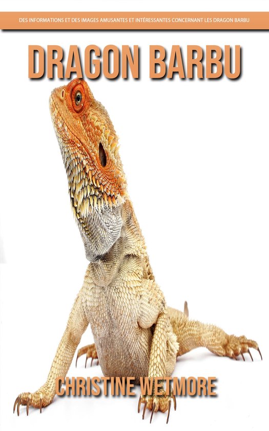 Dragon Barbu – Des Informations et des Images Amusantes et ... - cover