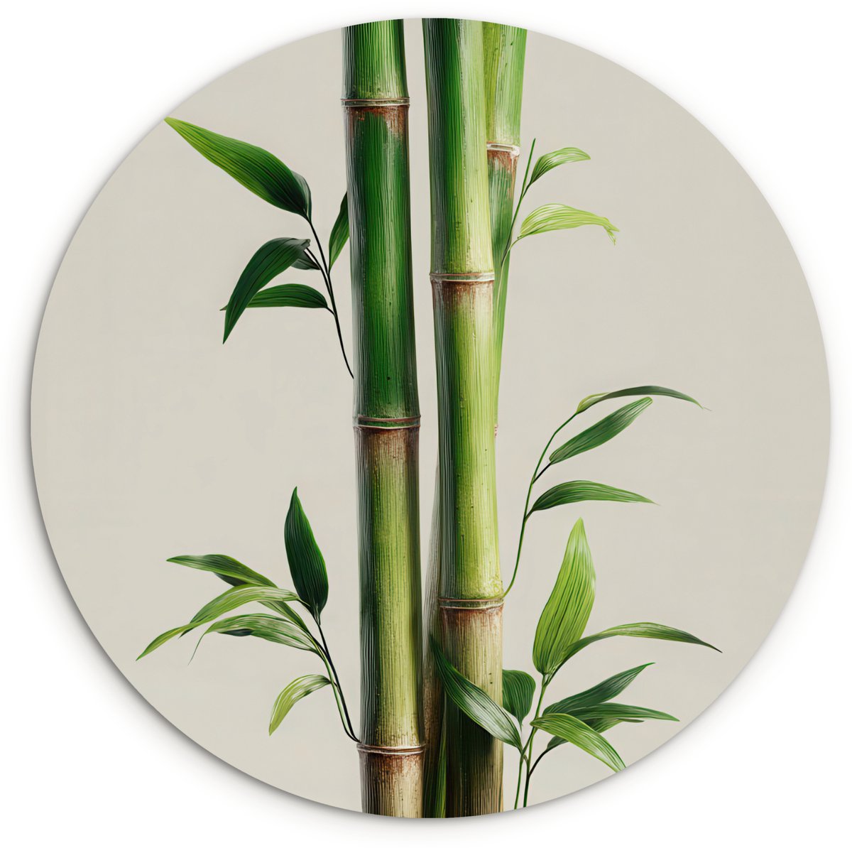 WallCircle Wandcirkel 150x150 cm - Muurcirkel Bamboestengels - Sierlijk - Groen - Muurdecoratie woonkamer - Wanddecoratie slaapkamer - Kamer decoratie accessoires - Ronde schilderijen