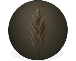WallCircle - Wandcirkel - Muurcirkel - Tak - Pluimgras - Donkerbruin - Aluminium - Dibond - 30x30 cm - Binnen en Buiten