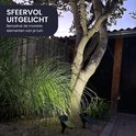Sfeervol uitgelicht: de tuinlamp benadrukt de mooiste elementen van je tuin.