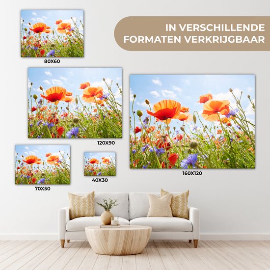 Tableau Fleurs - Coquelicot - Printemps - Nature - Rouge - Blauw - 80x60 cm - Décoration murale