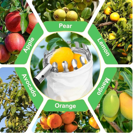 Fruitplukker - Appelplukker - Lange fruitpluktool met telescopische steel - Fruitgrijper met telescopische steel en opbergtas - Fruitpluktool voor kersen, bessen, sinaasappels, peren, citroenen - Snoeigereedschap - 4M - Zilver / Groen — afbeelding 5
