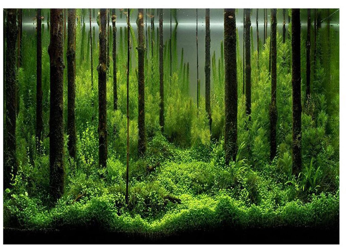 Fish Tank Poster, PVC Fish Tank Achtergrond duurzame poster Onderwater Forest Tank Poster Achtergrond Decoratie Papier