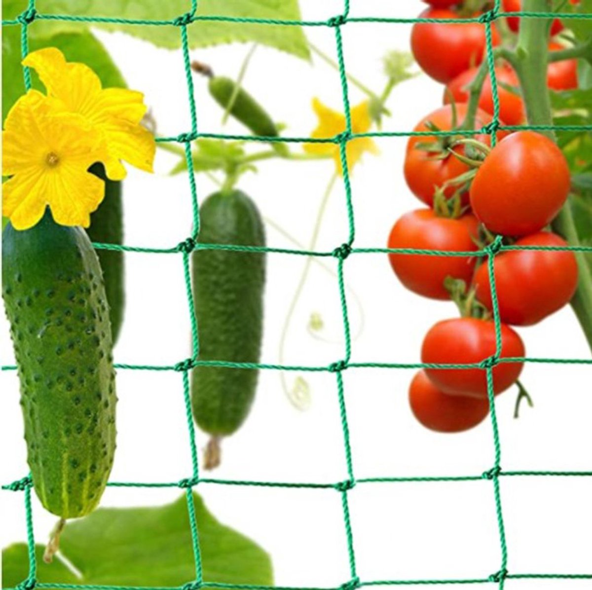 Klimplantensteunnetten, moestuinnetten Geschikt voor komkommers, tomaten en andere groenten, vogelwerende netten, steunnetten Geschikt voor klimplanten.