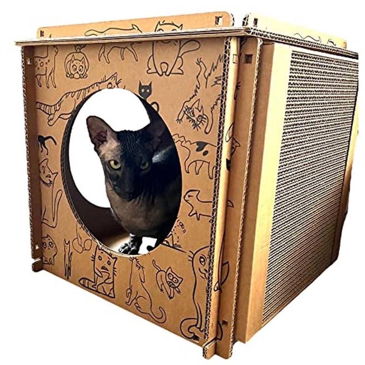 Modulair Kattenhuis van Gerecycled Karton met Krabpaneel