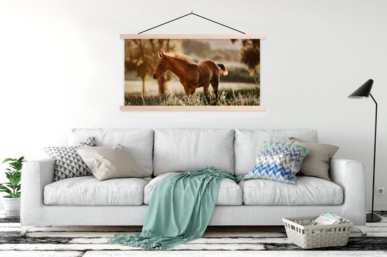 Porte-affiche avec affiche - Affiche scolaire - Cheval - Lumière - Prairie - 150x75 cm - lattes vierges