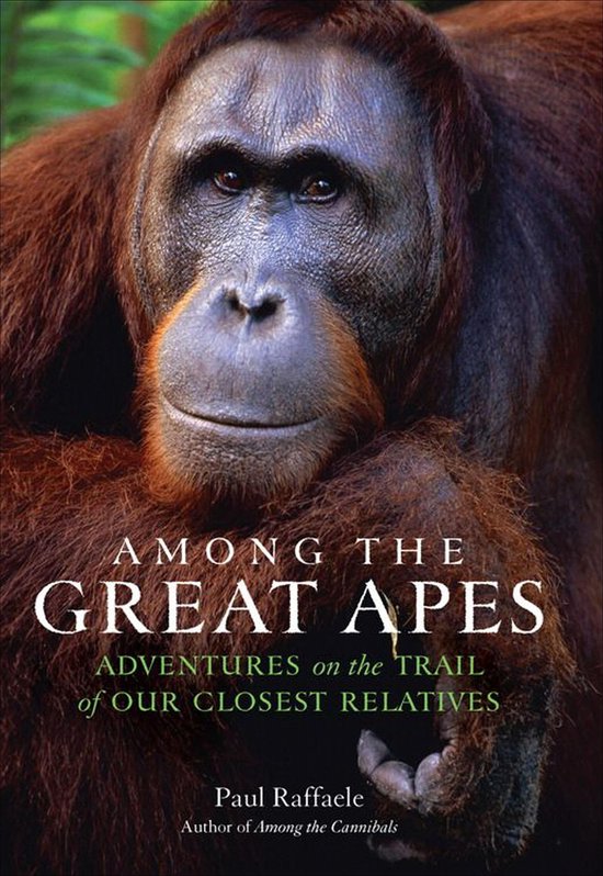 Among the Great Apes - cover