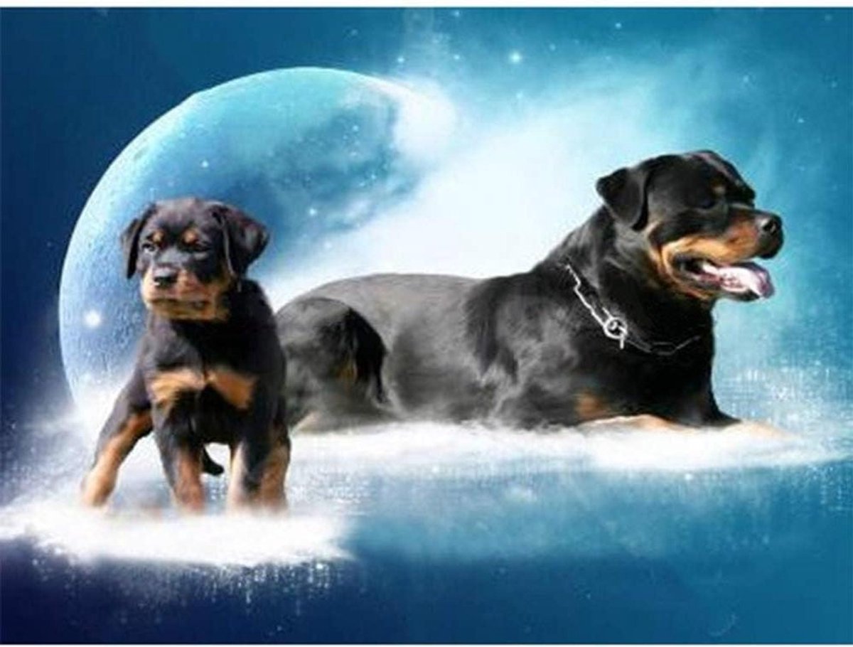 Allecta - 5D Diamant Borduurwerk Set - Natuur Landschap - Hond Motief - DIY Decoratie - 40 x 30 cm