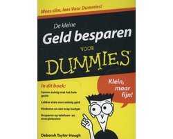 De kleine Geld besparen voor dummies